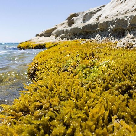 Вілла Casotto Il Carrubo, A 100 Mt Dal Mare! Авола Екстер'єр фото